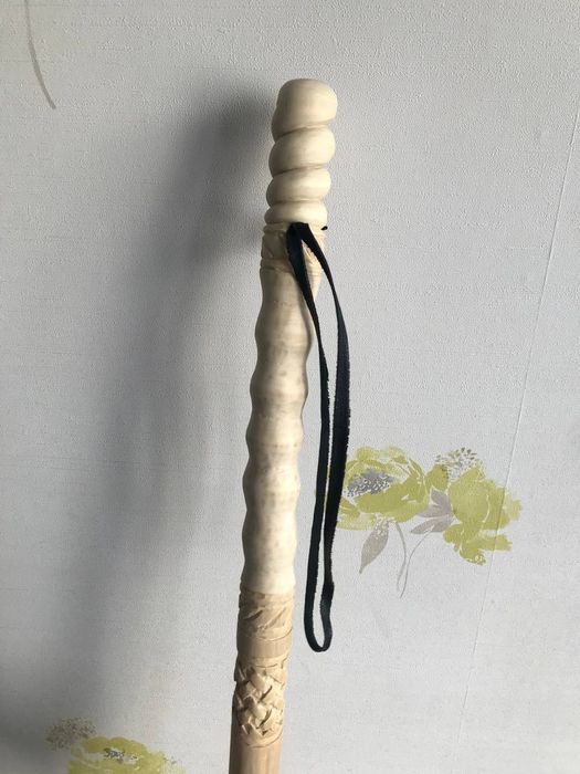 Палка для трекінгу