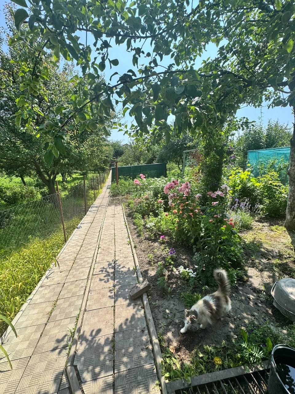 Продам свій дім.