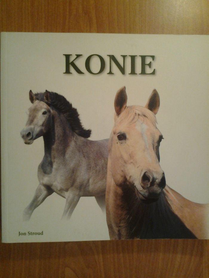 Konie : ) : ) : )