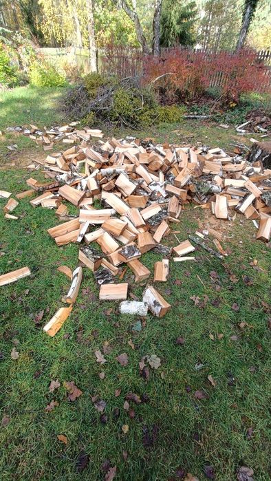 Drzewo opałowe Brzoza