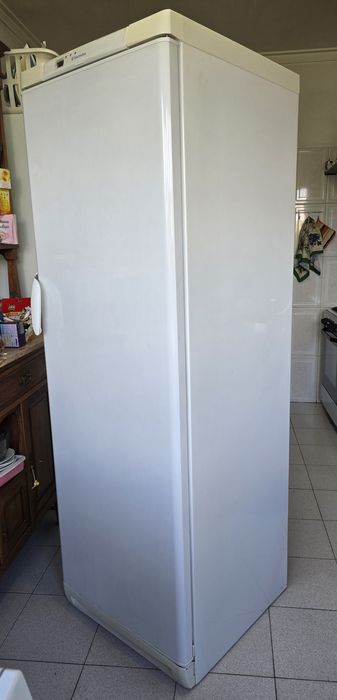 Arca frigorífica vertical electrolux