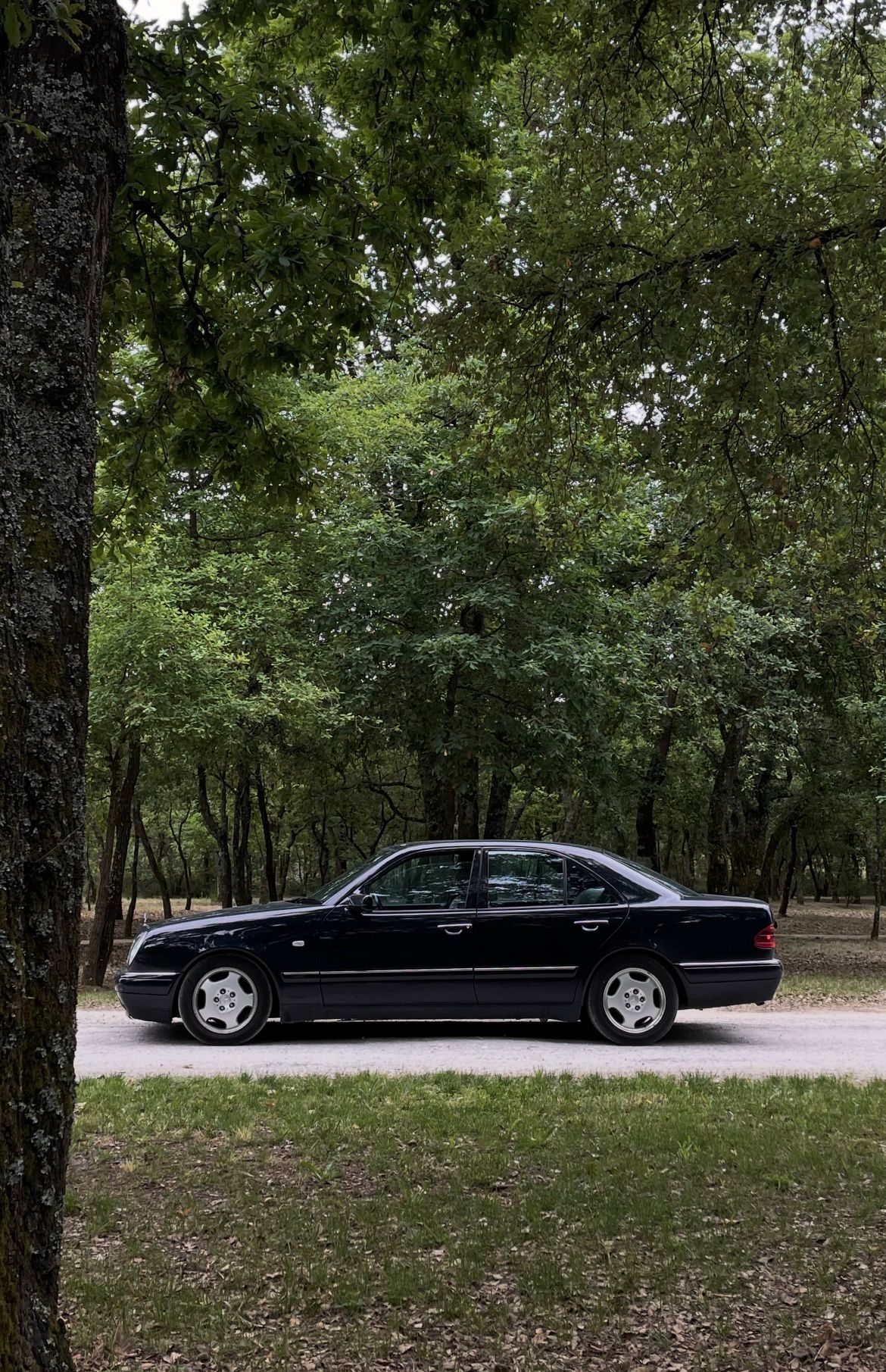 Mercedes benz w210 250 td - Ernesto