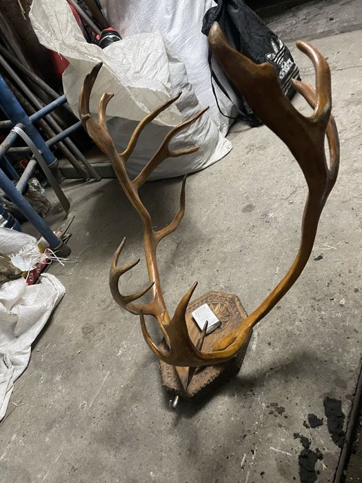 Продам рога, Запарожжье