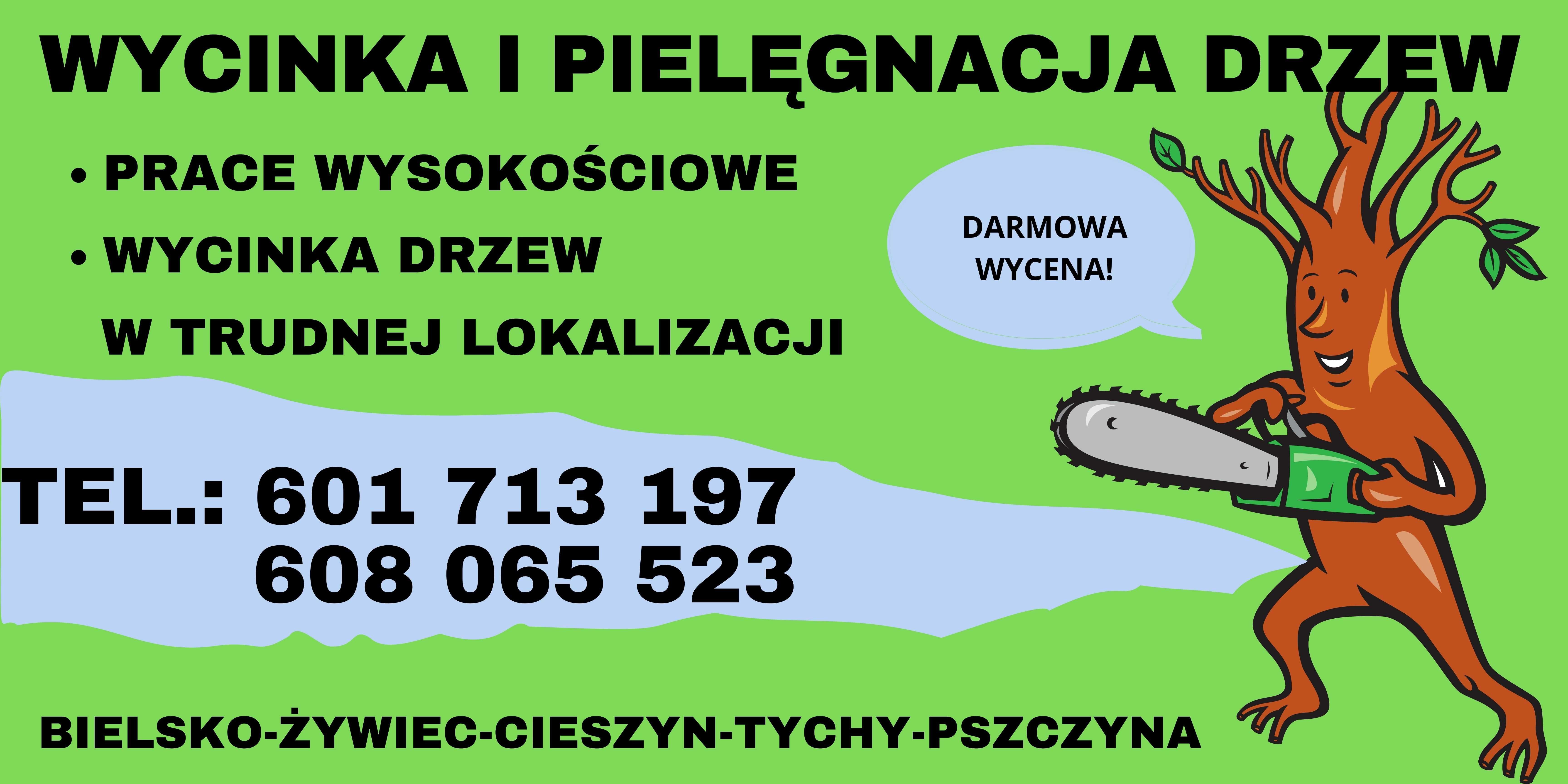 Wycinka drzew, pielęgnacja drzew, usuwanie suszu - metodą linową