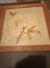 Obrazy kwiaty Korecka