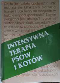 Intensywna terapia psów i kotów