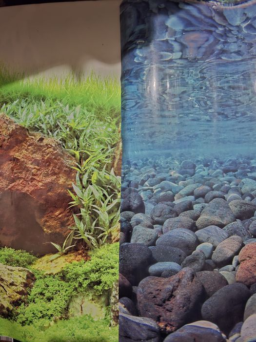 Овальний Акваріум