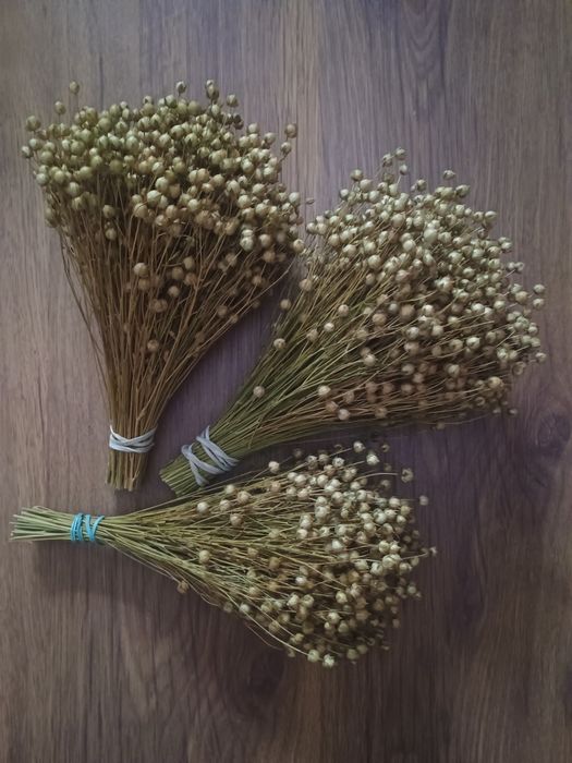 Len suszony na wianki 250g