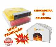 Chocadeira / incubadora de 36/144 Ovos + Criadeira