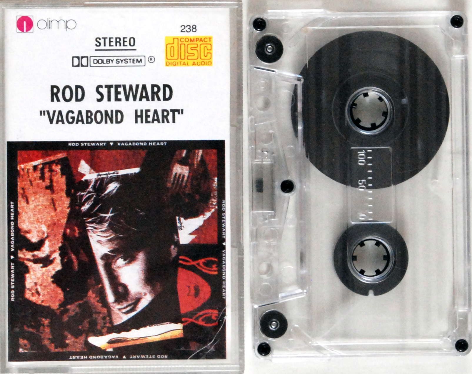 Rod Steward - Vagabond Heart (kaseta) BDB