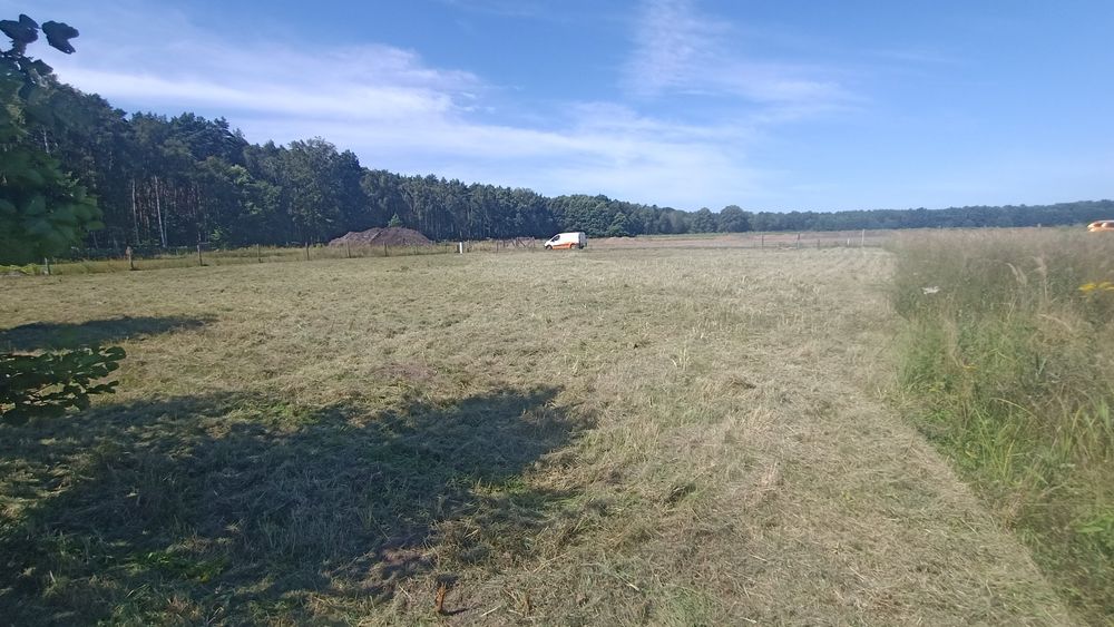 Karczowanie koszenie działek budowlanych, traw, samosiejek, rowów