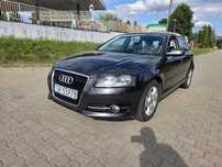 Audi A3 AUDI A3 1.6 TDi bezwypadkowy, automat.
