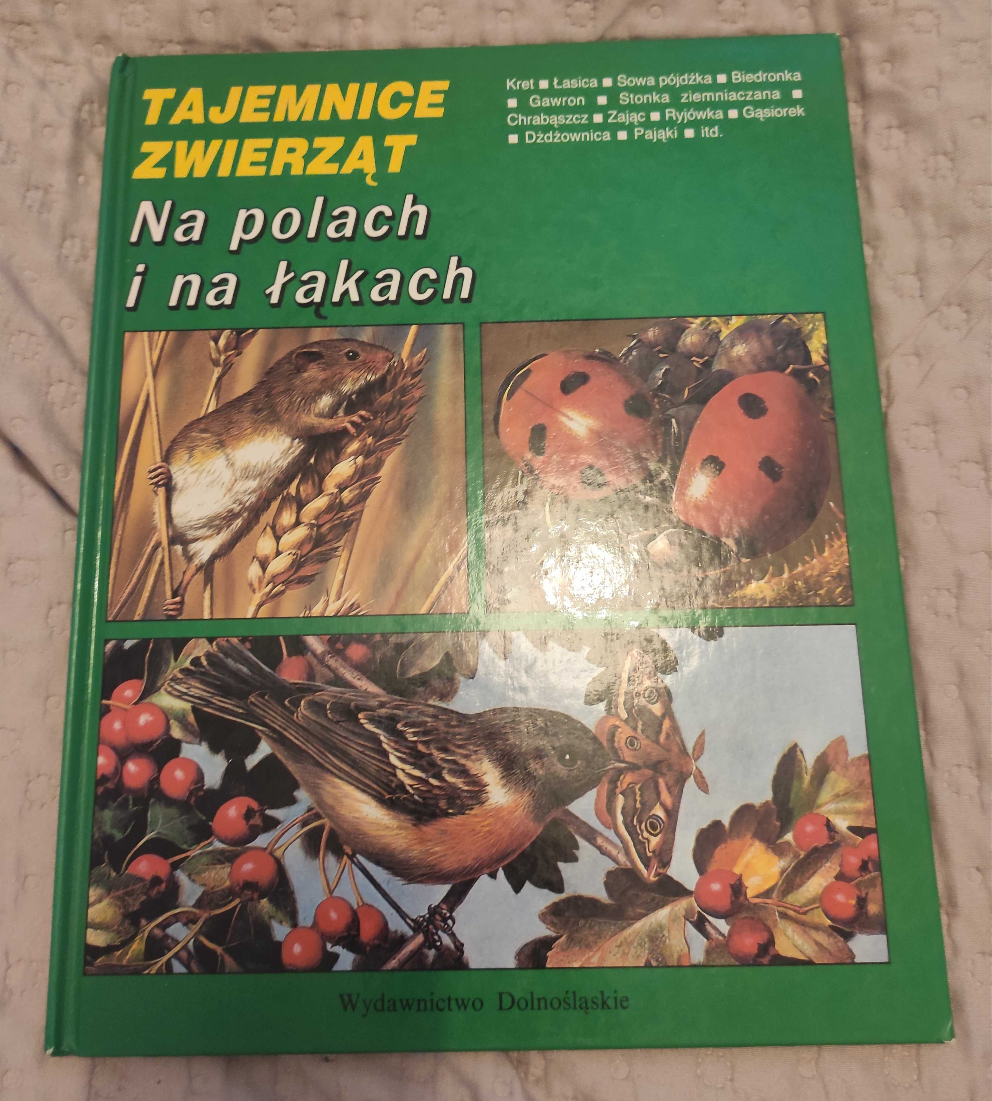7 różnych encyklopedii dla dzieci