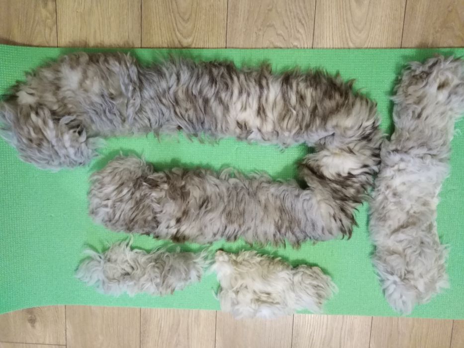 Куртки девочка. Лоскутки меха овчина