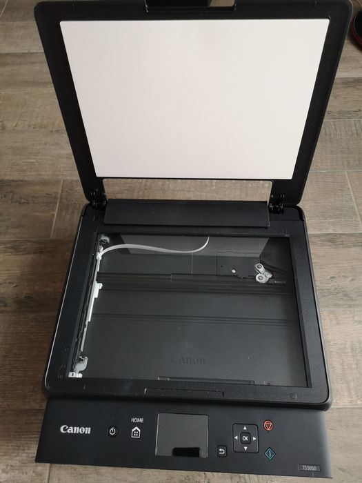 Canon pixma TS5050 пищевой принтер