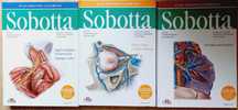 Atlas Anatomii Sobotta Tom 1-3 Łacińskie Mianownictwo Komplet