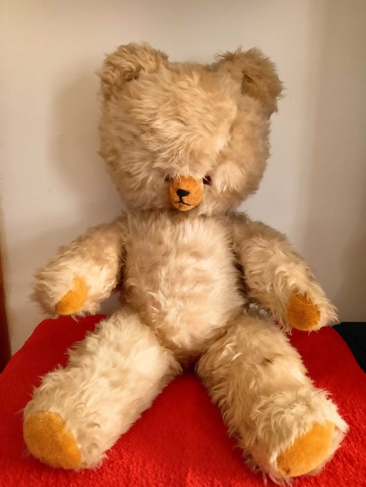 Miś, maskotka, trociniak, stary