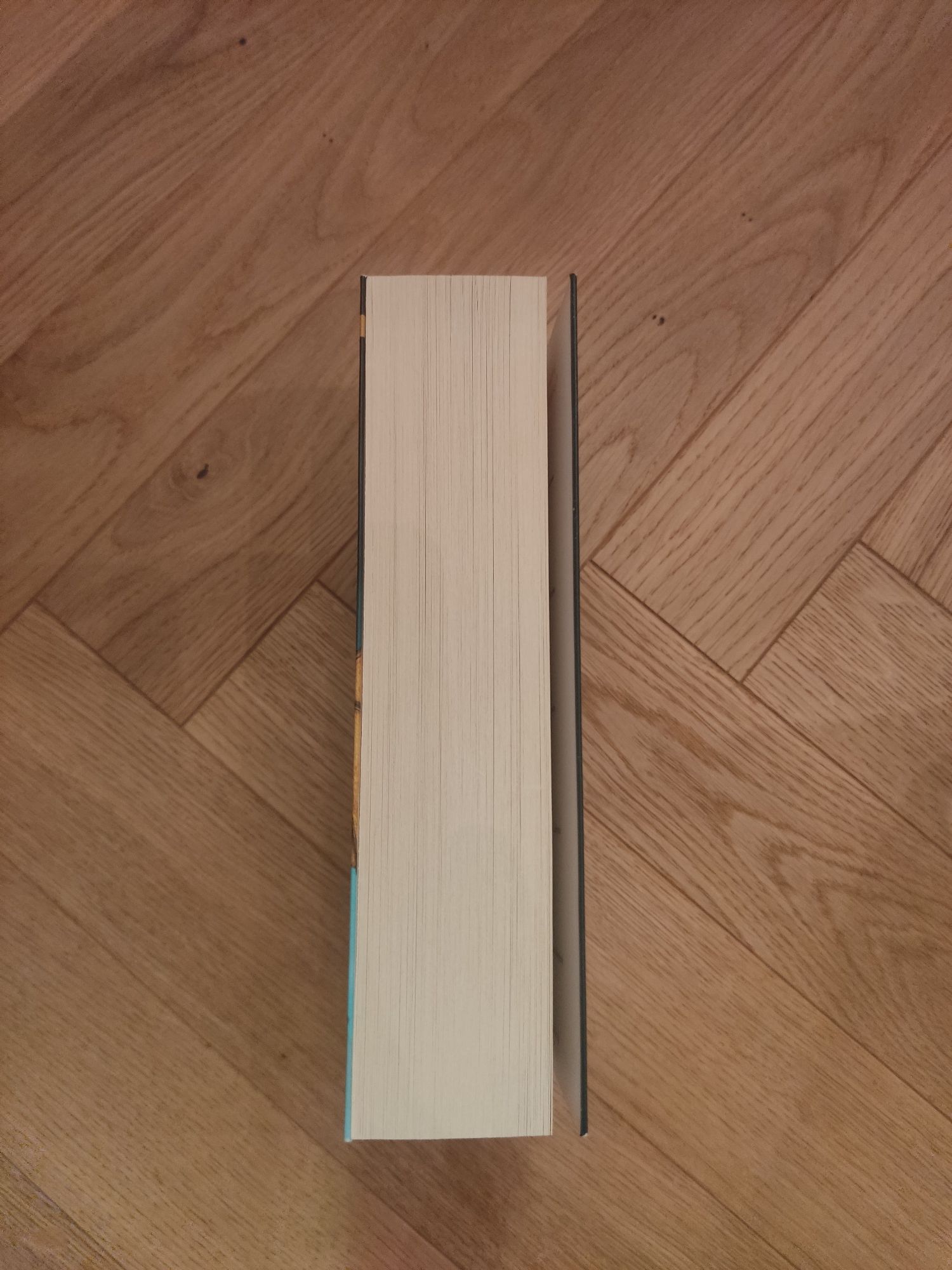 Książka Zagubiony Heros Rick Riordan