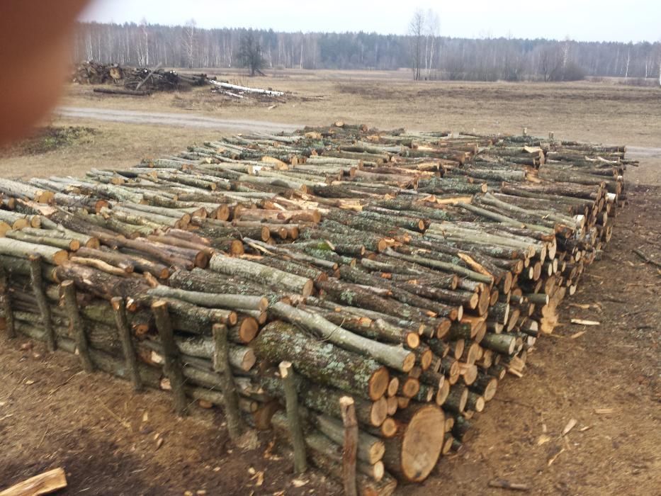 продам дрова порубані