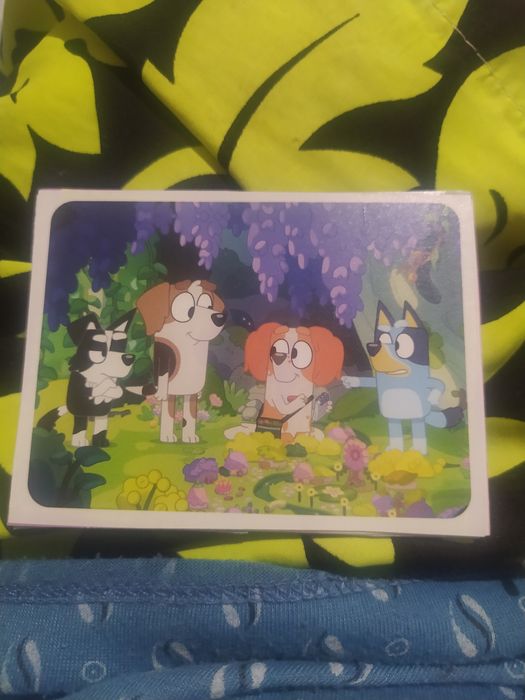 Cromo bluey recuperado panini 94- portes CTT incluídos no preço