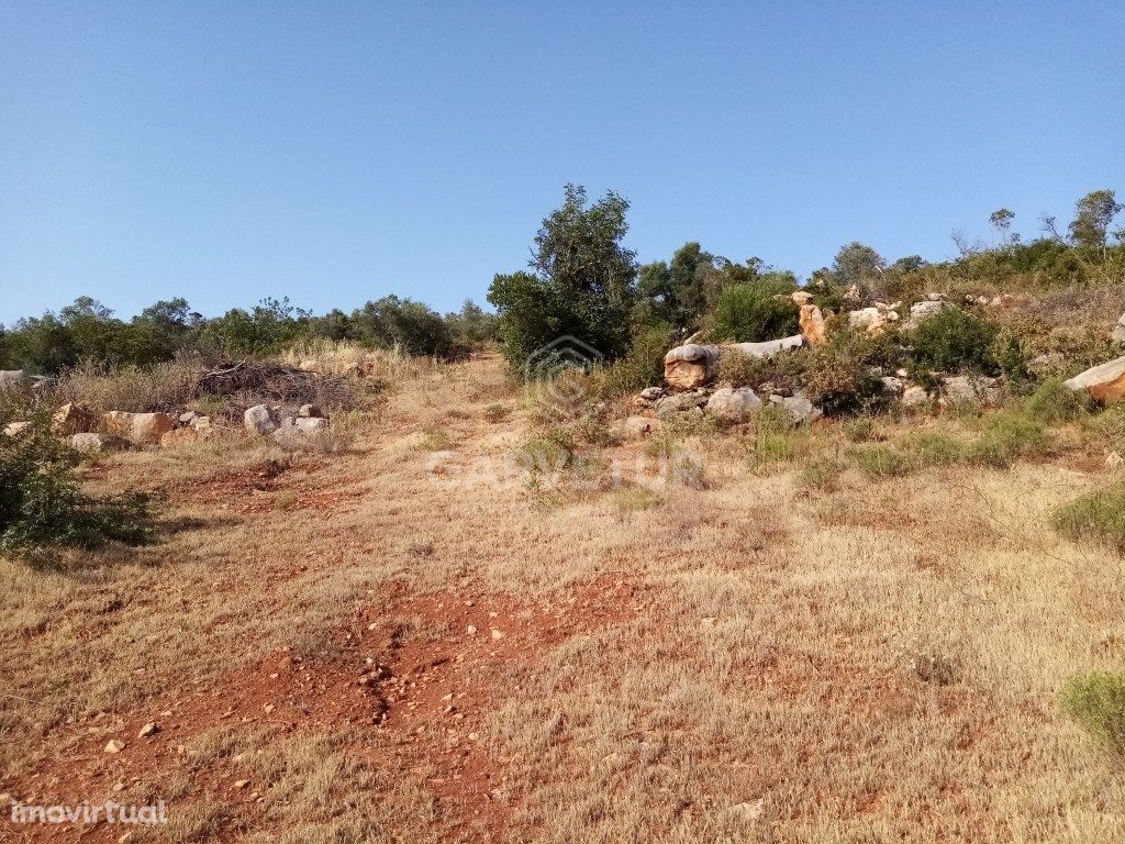 Terreno Rústico perto de Loulé, Loulé, Algarve
