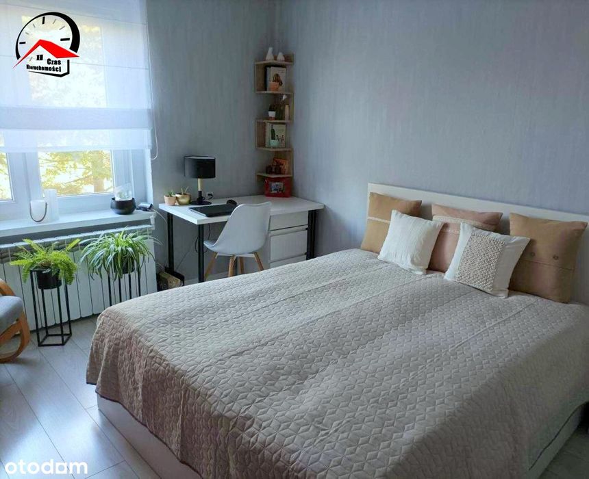 Mieszkanie z działką