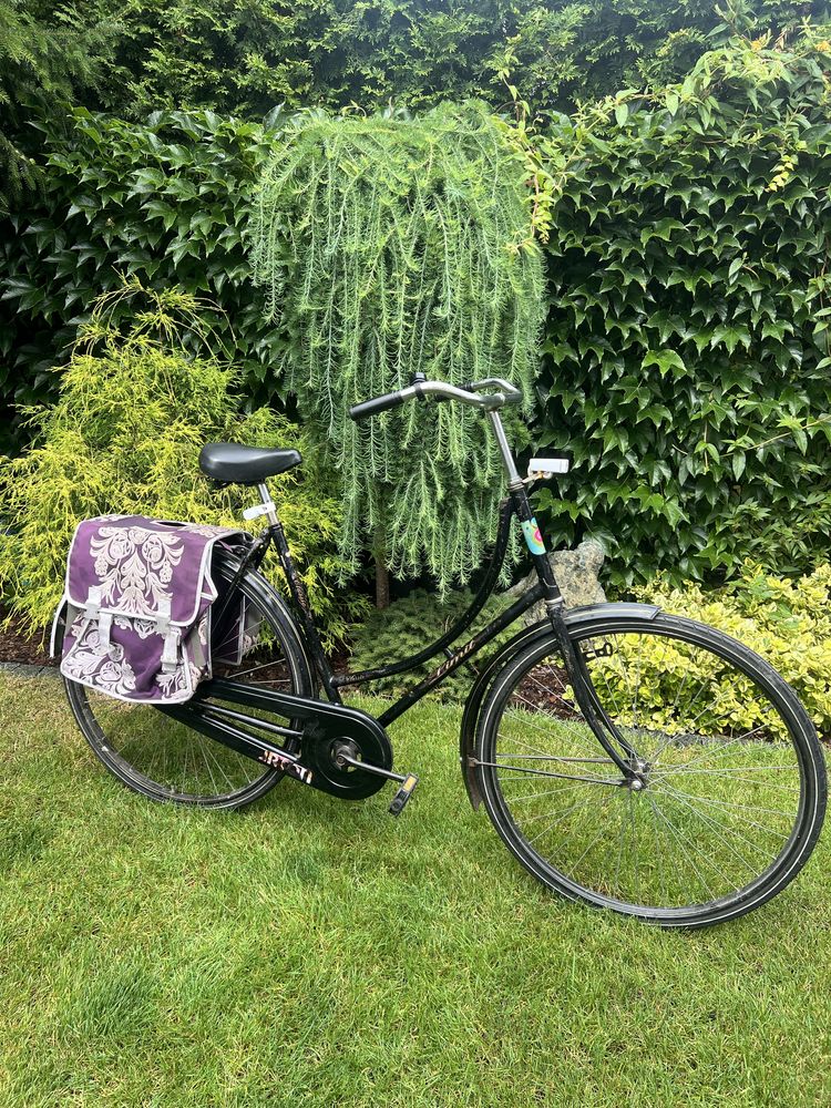 Rower Holenderka