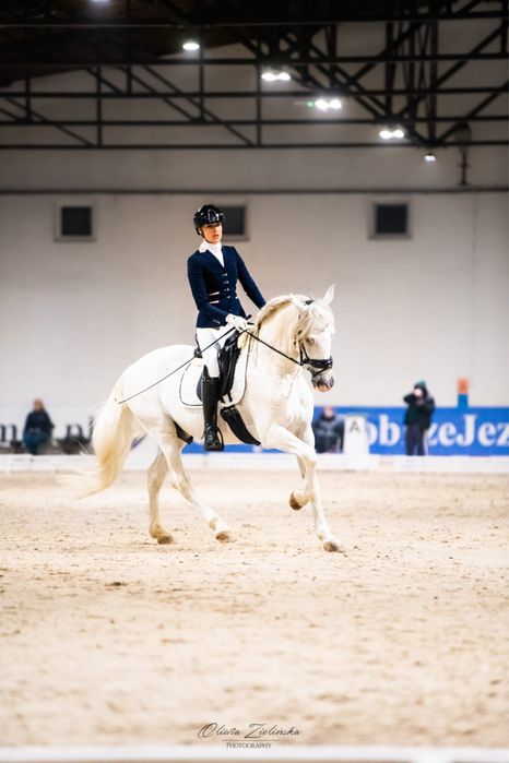 Ogier PRE, koń profesor poziom CC klasa, sprzesam lub zamienię