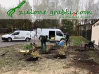 Usługi ogrodnicze - zakładanie ogrodów, trawniki, nawadnianie, serwis