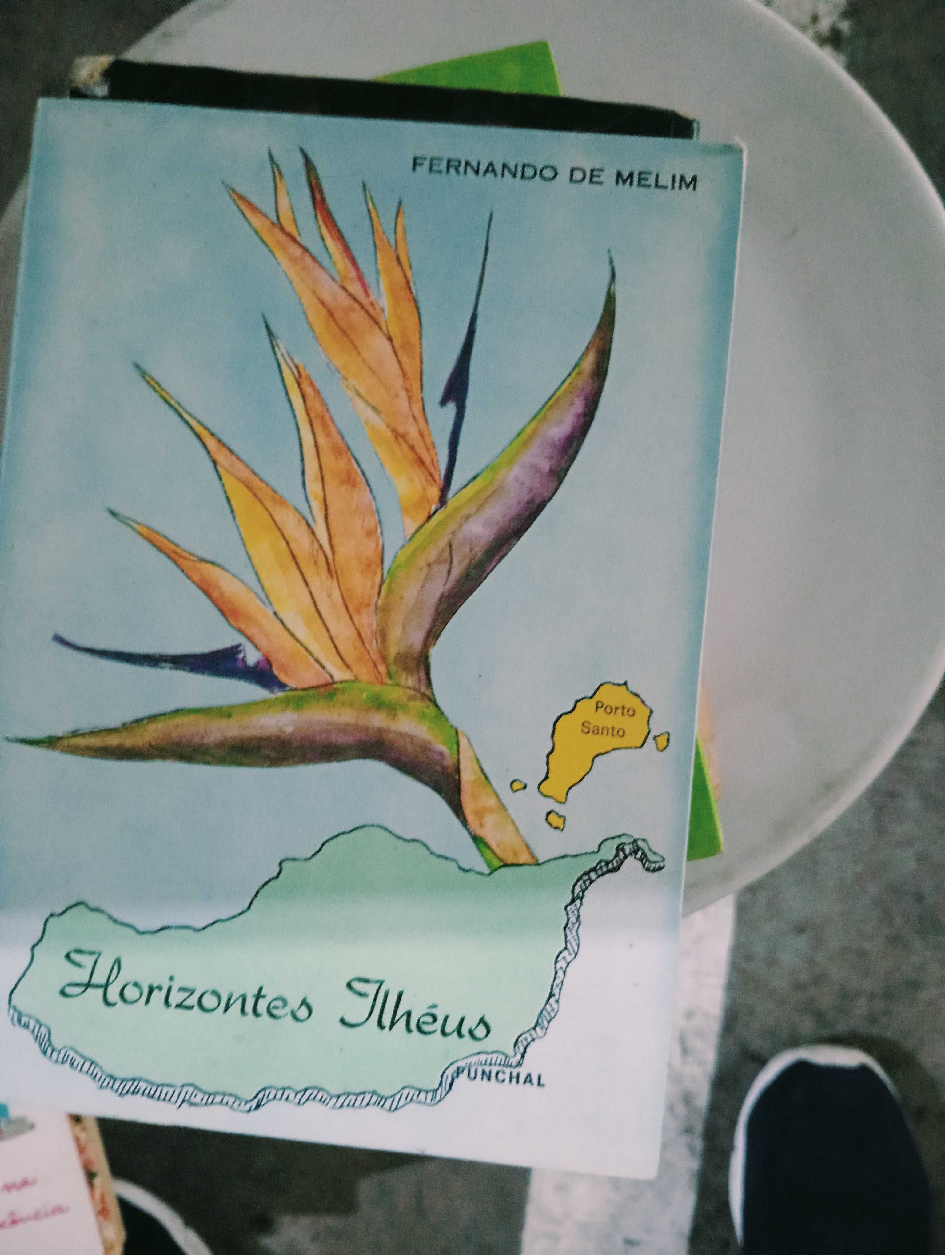 Conjunto de livros por 20 euros.