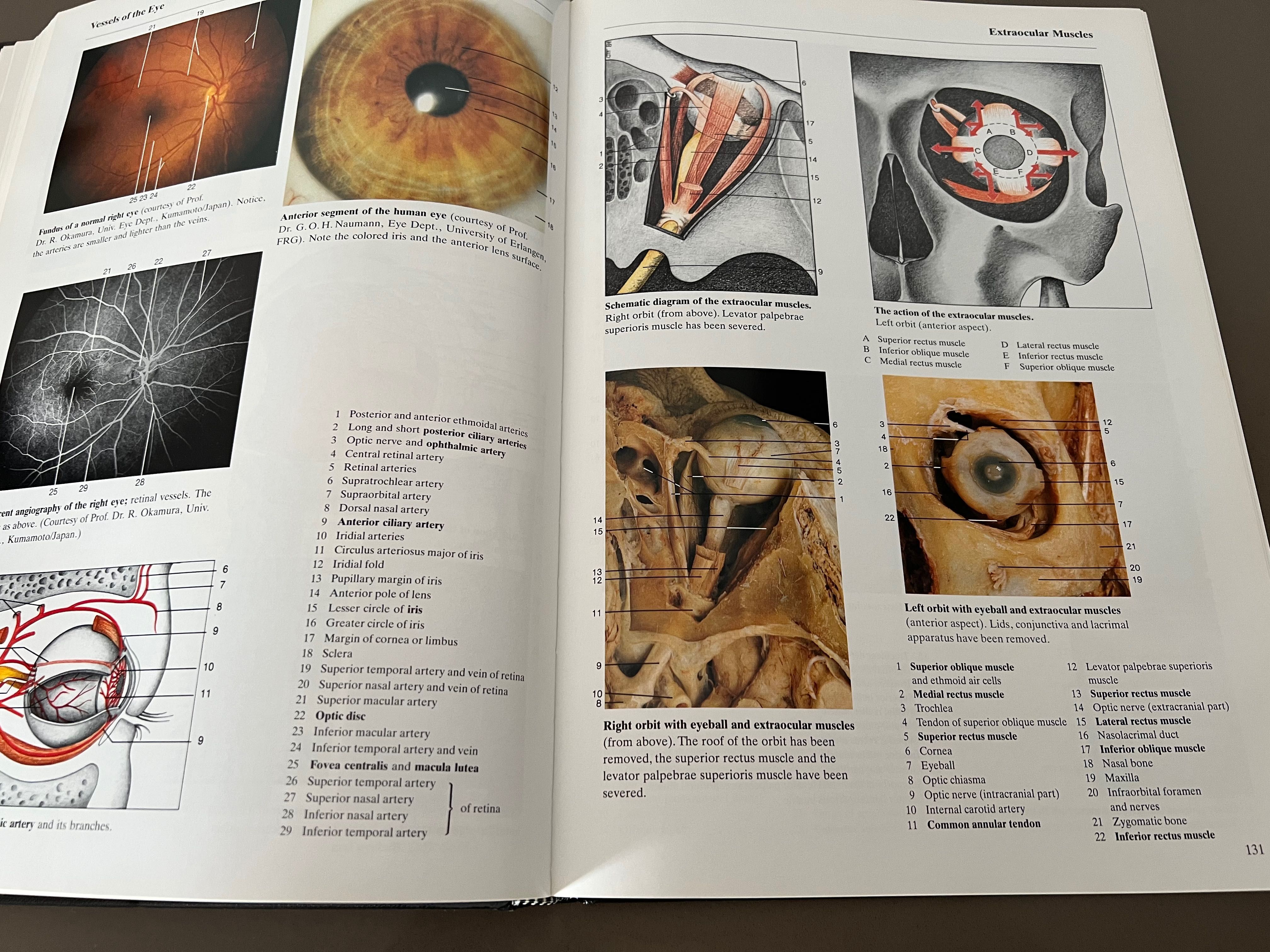 Livro Atlas Anatomia