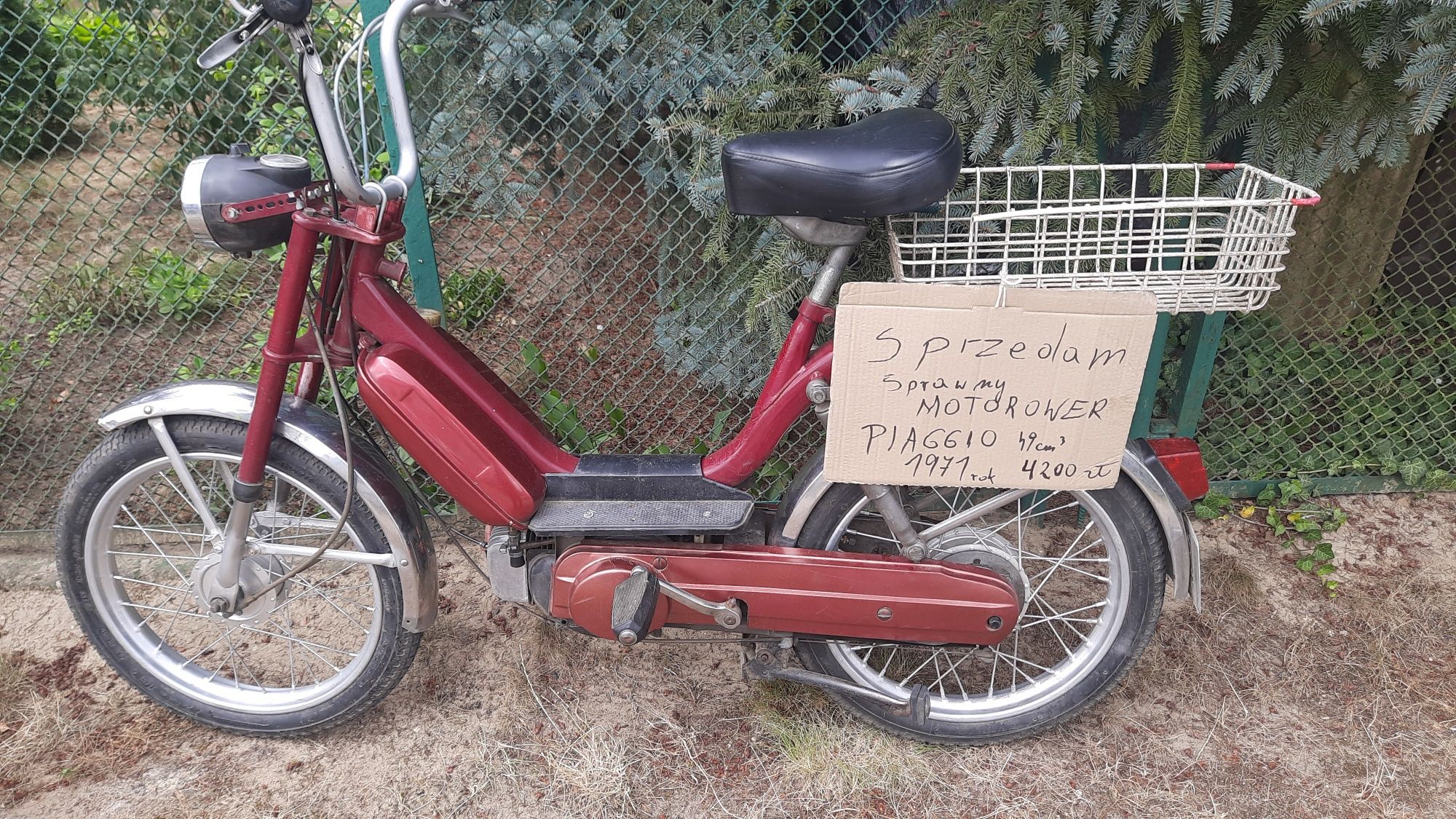 Motorower Piagio 49cm