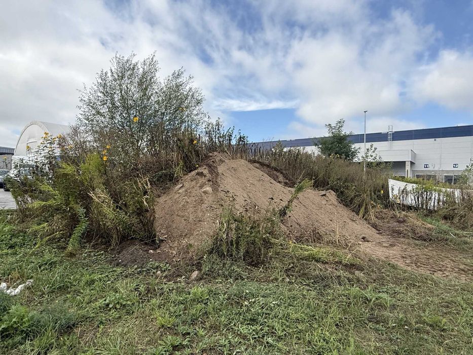 Oddam ziemię za darmo – widoczna na zdjęciach