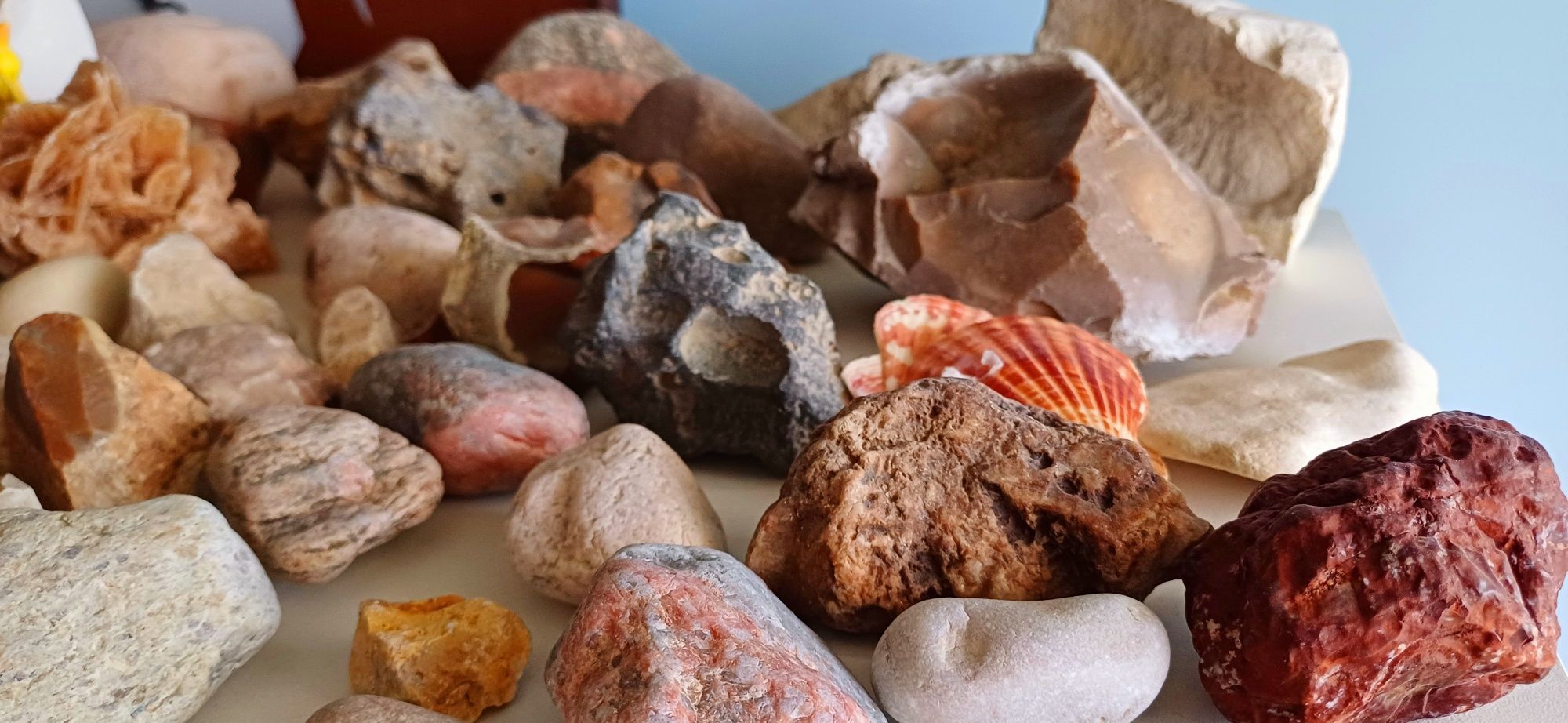 Kamienie szlachetne skamieliny amonit amonity minerały Jura Agat
