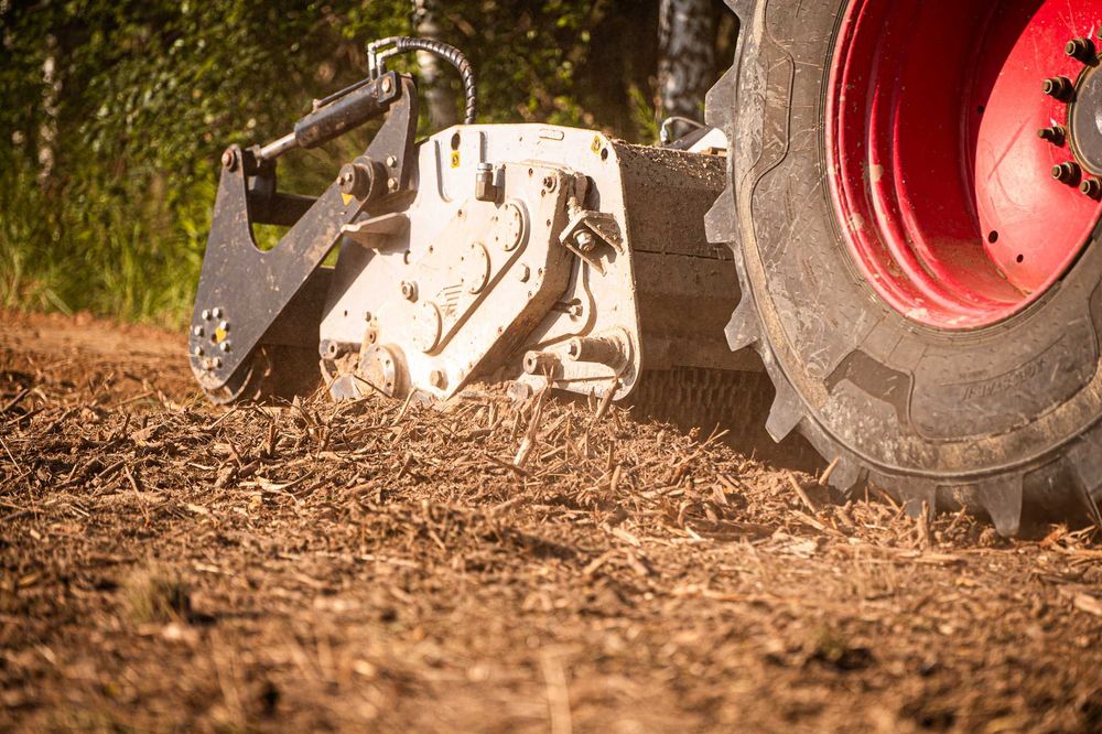 Wycinka Drzew, Mulczowanie, Frezowanie, Karczowanie