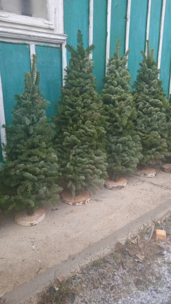Продається в'язана ялинка різних розмірів