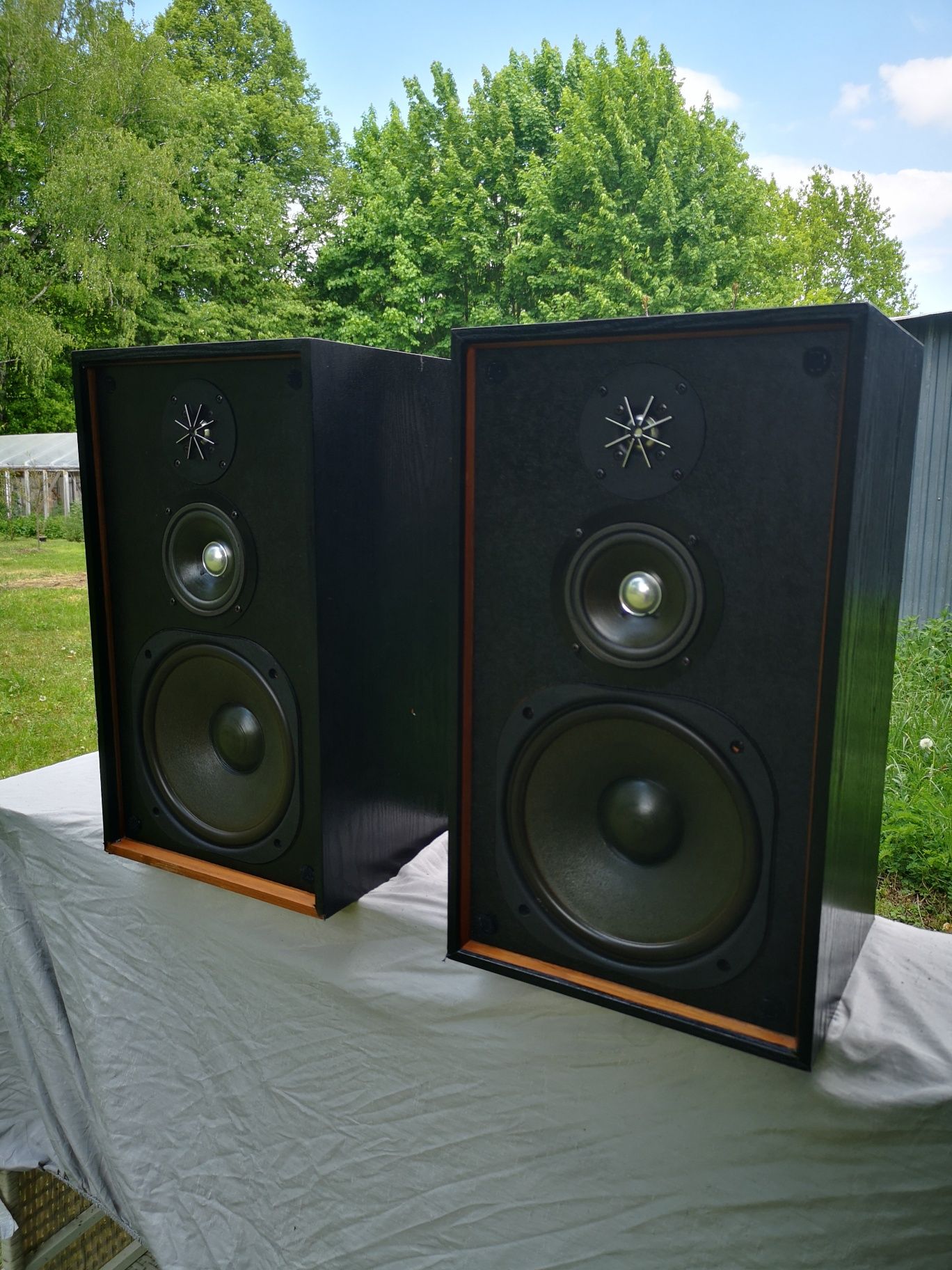 Kolumny głośniki PIONEER CS-E530 yamaha diora tonsil altus