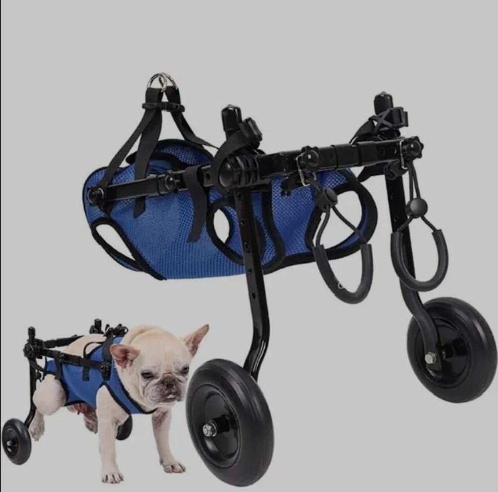 Инвалидная коляска для собак регулируемая, S, синяя
