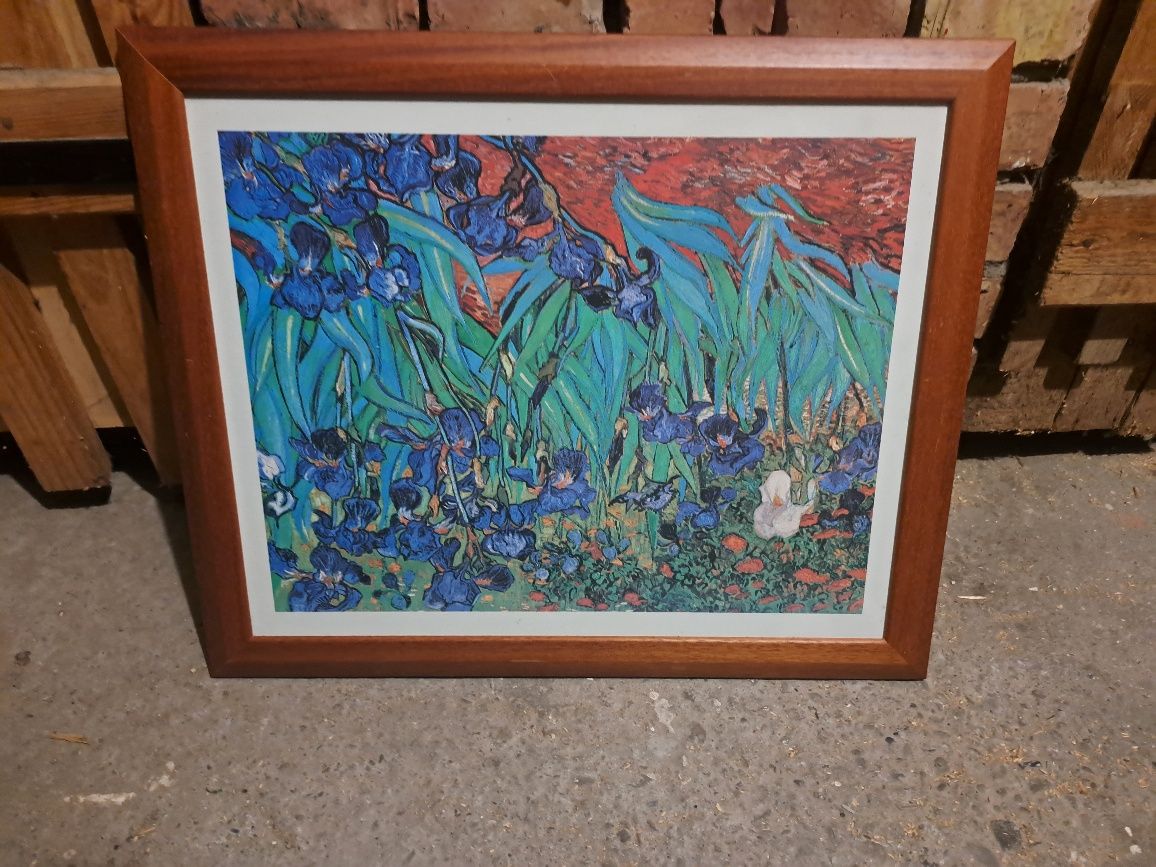 Obraz  irysy van gogh