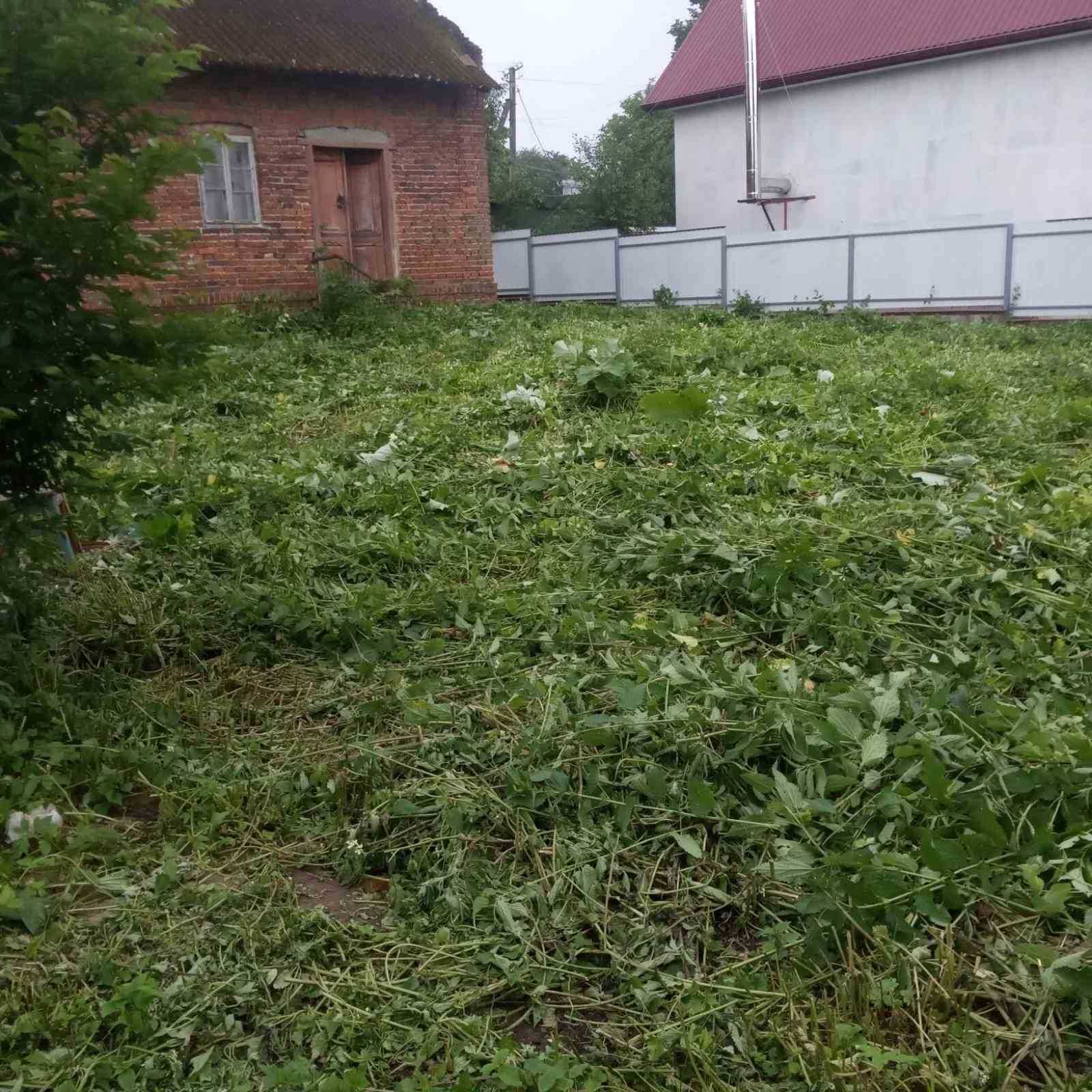 Продам будинок і ділянку с. Бережниця