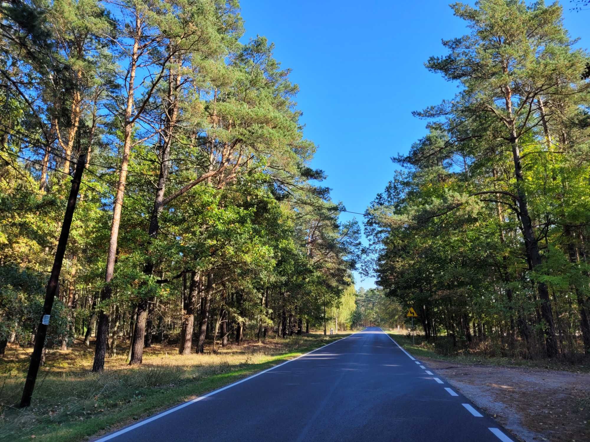 Działka budowlana 1500m2, Leszyce/Solec Kujawski, 30min od Bydgoszczy