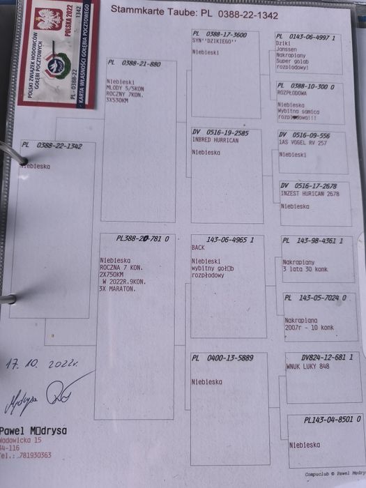 Pocztowe do rozpłodu