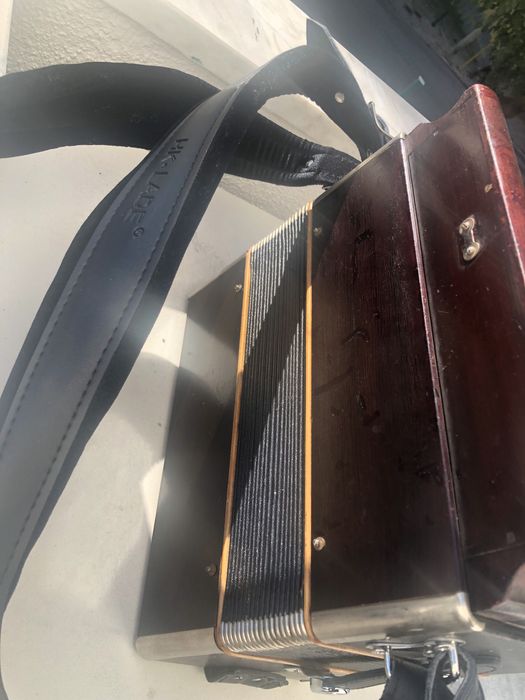 Concertina Rara Organola de Madeira 1920 AD LA RE Colecao