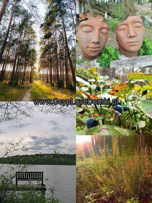 Domek nad jeziorem z balia jacuzzi Ocypel Bory Tucholskie Kaszuby Wda