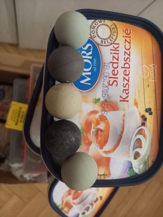 Kulka do / dla myszki z kulka.