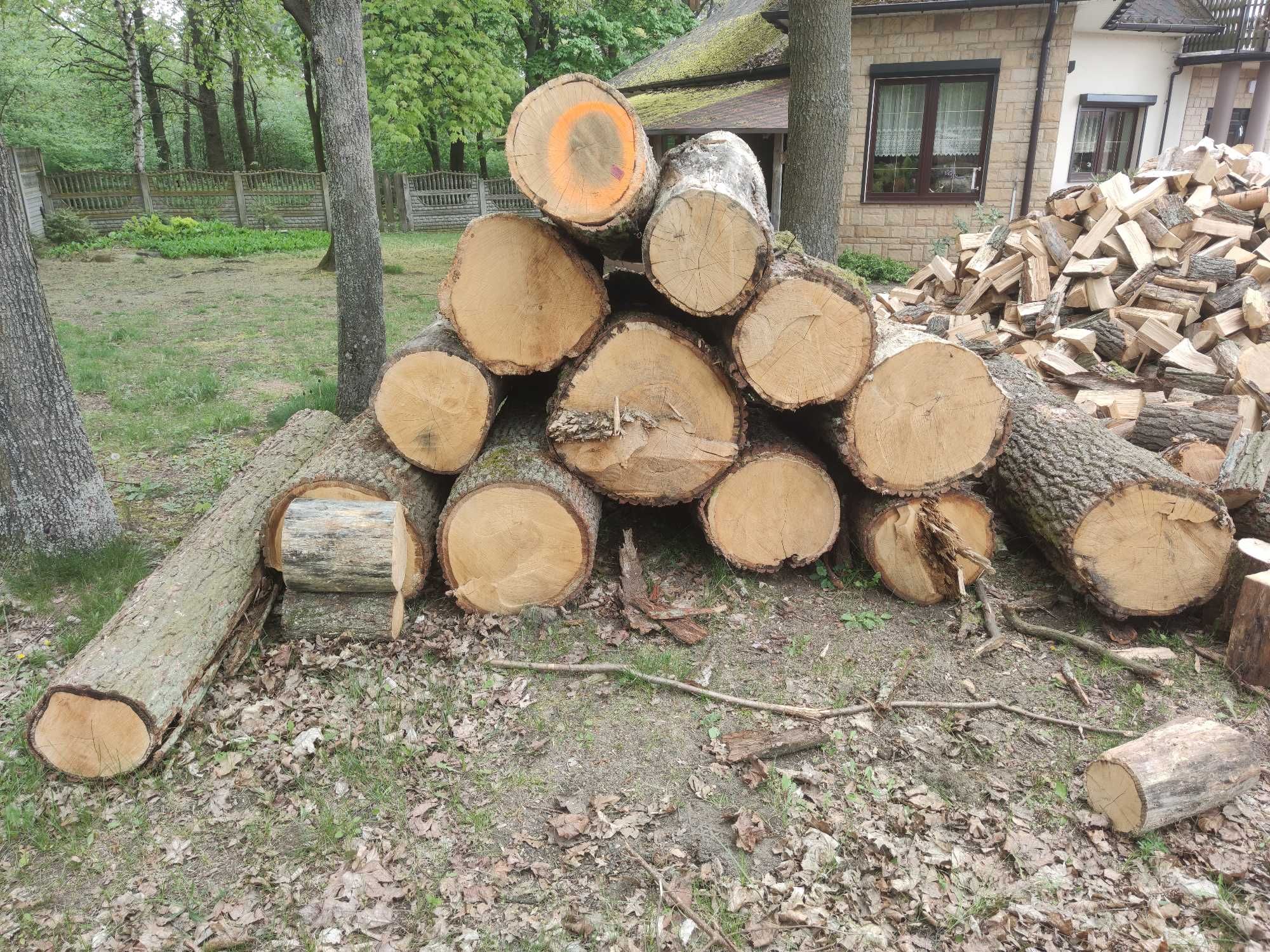 Drewno konstrukcyjne dębowe