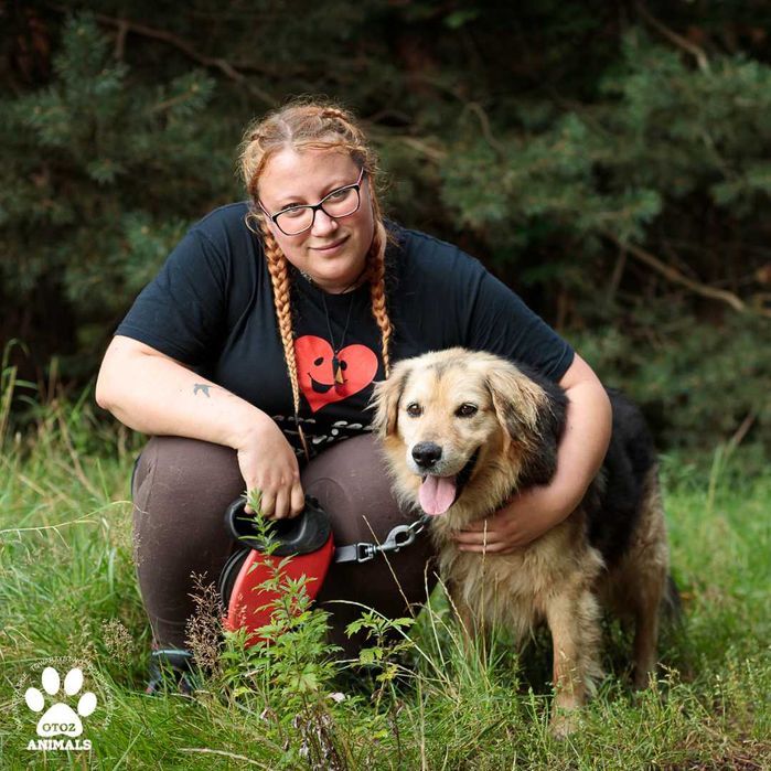 Kudłaty Pilot - cudowny pies do adopcji!