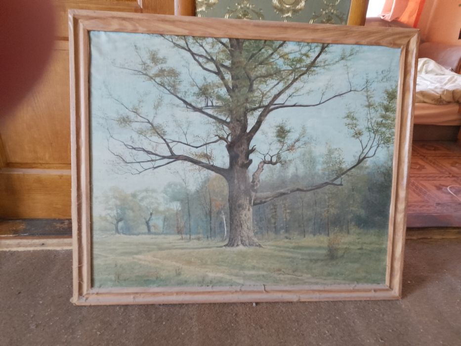 Картина "Дуб" , холст + масло