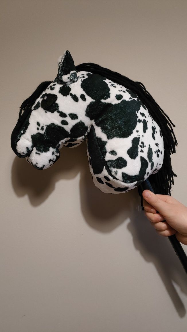 Konik hobby horse tarantowate A4