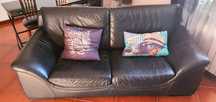 Vendo sofas em pele